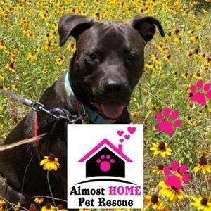 Meet your Posher, Audrey